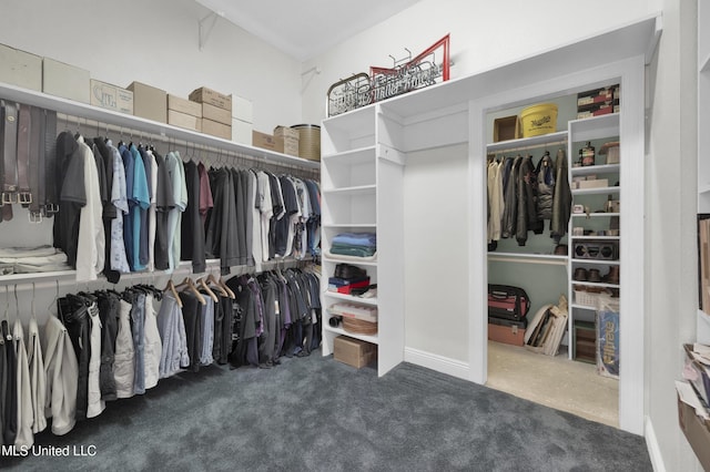 spacious closet featuring carpet floors