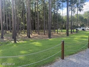 view of property's community with a lawn