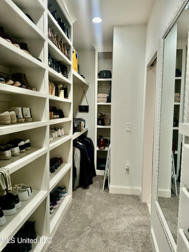 spacious closet featuring light colored carpet