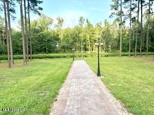 view of community featuring a lawn