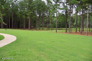 view of community featuring a yard