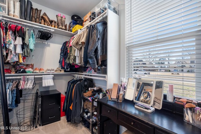 spacious closet with carpet flooring