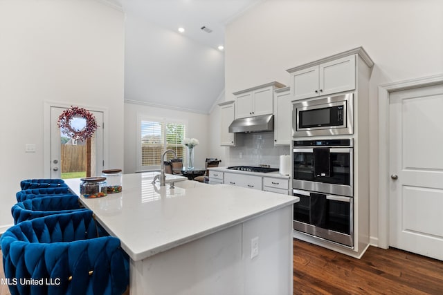 kitchen featuring sink, a kitchen breakfast bar, stainless steel appliances, high vaulted ceiling, and dark hardwood / wood-style floors