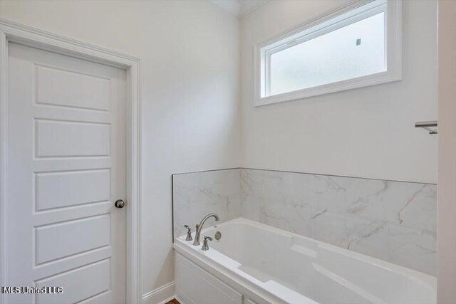 bathroom featuring a bathtub