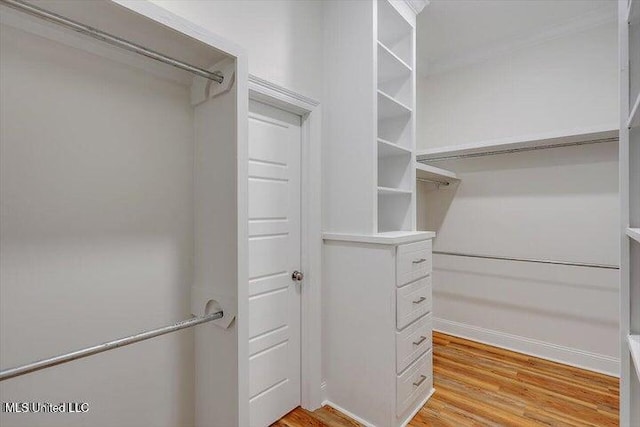 spacious closet with light wood-type flooring