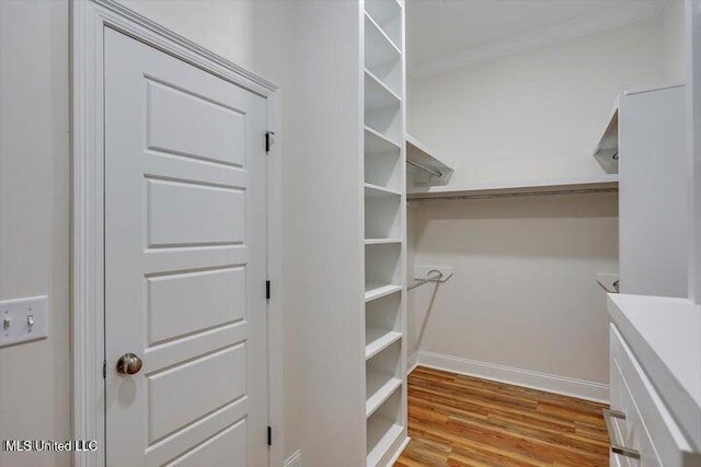 spacious closet featuring light wood-type flooring