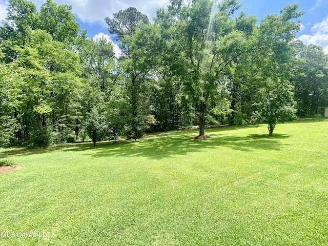 view of green lawn