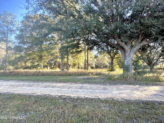 18000 Rayford Shumock Rd, Moss Point MS, 39562 land for sale