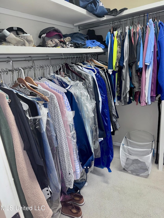 236 Sawbridge Dr, Ridgeland, MS 39157 - spacious closet featuring carpet floors