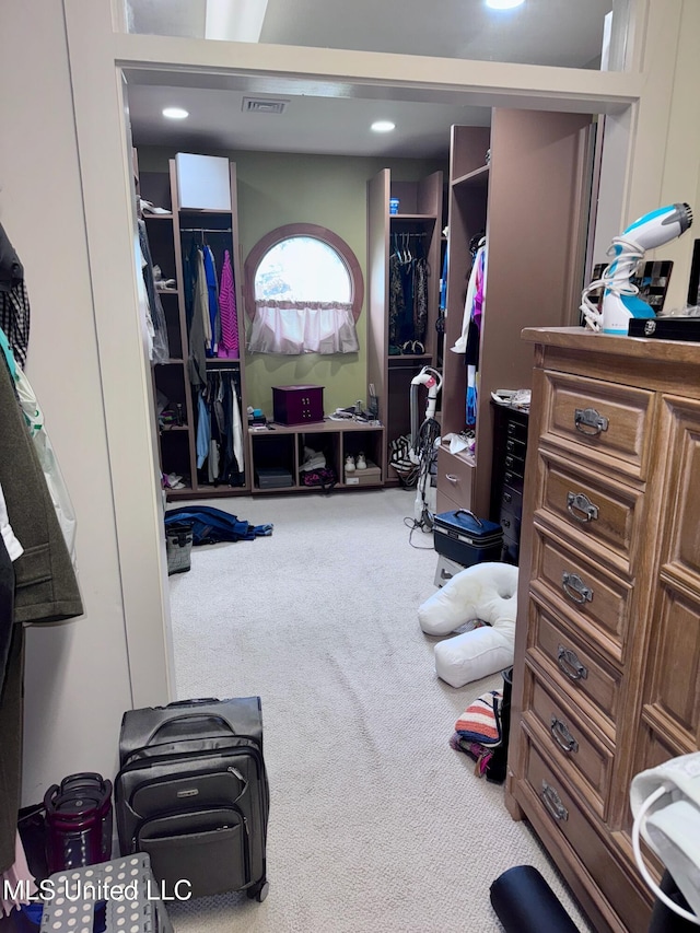 236 Sawbridge Dr, Ridgeland, MS 39157 - spacious closet with carpet flooring