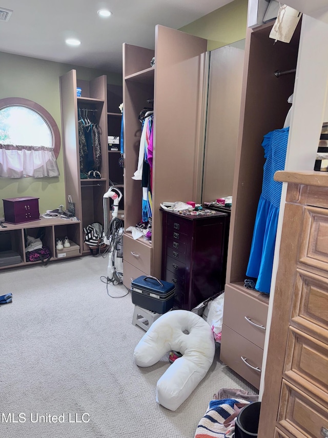 236 Sawbridge Dr, Ridgeland, MS 39157 - spacious closet featuring carpet flooring