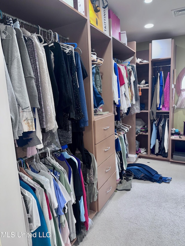 236 Sawbridge Dr, Ridgeland, MS 39157 - spacious closet with carpet flooring