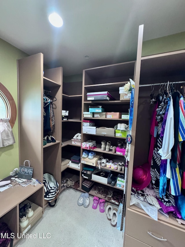 236 Sawbridge Dr, Ridgeland, MS 39157 - spacious closet featuring carpet flooring
