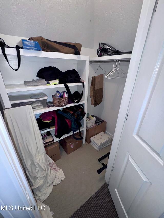 236 Sawbridge Dr, Ridgeland, MS 39157 - view of closet