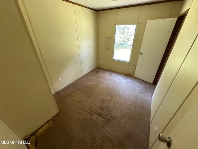 spare room with light colored carpet