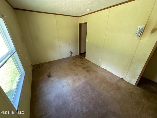 empty room with crown molding, carpet floors, and a textured ceiling