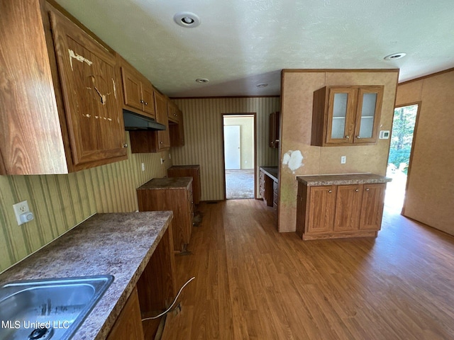 kitchen featuring a textured ceiling, sink, and light wood-type flooring