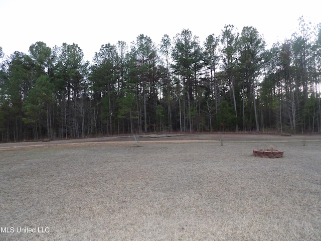 3820 Beamon Rd, Kosciusko, MS 39090 - view of yard with a forest view