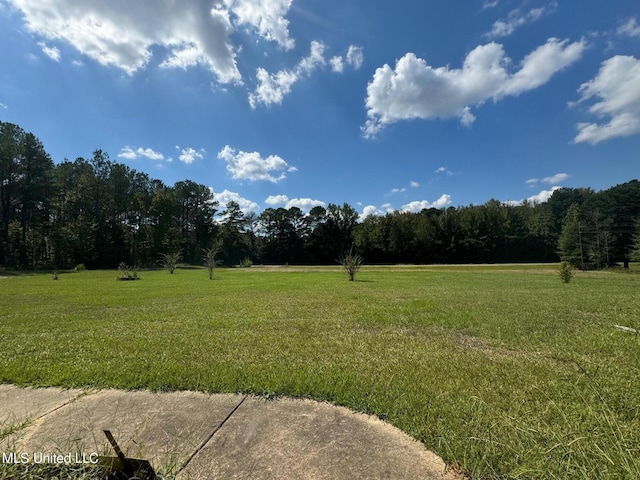 3820 Beamon Rd, Kosciusko, MS 39090 - view of yard featuring a wooded view