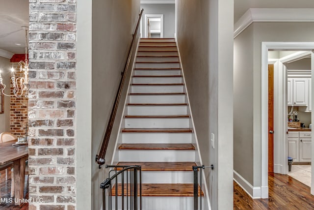 stairway featuring wood-type flooring and crown molding