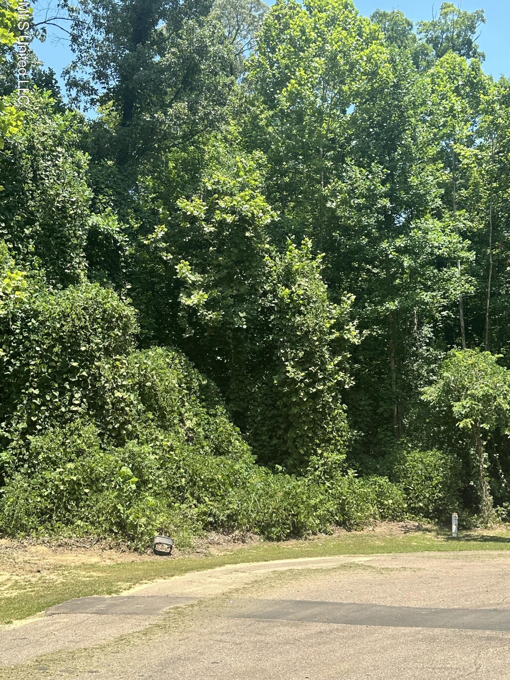 7142 Soaring Oaks Cv, Walls, MS 38680