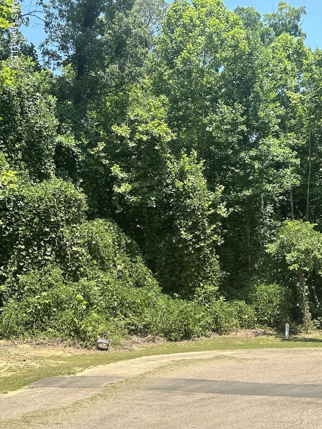 7142 Soaring Oaks Cv, Walls, MS 38680