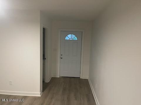 entryway featuring dark wood-type flooring