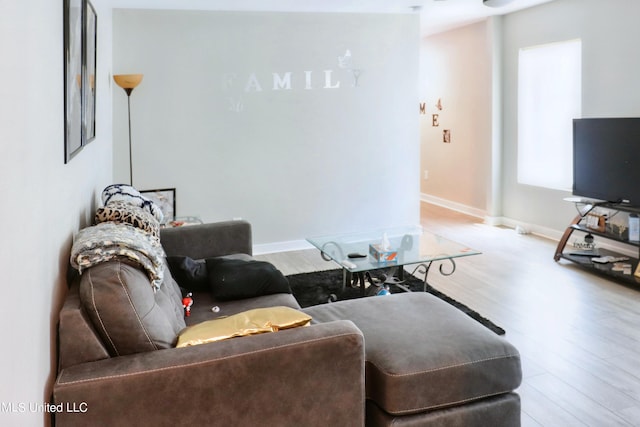 living room with light hardwood / wood-style flooring