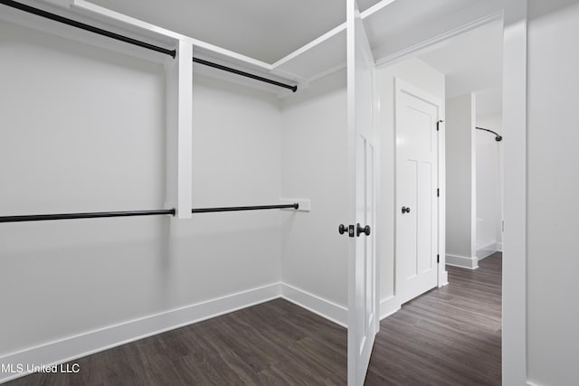 walk in closet featuring dark wood-style floors