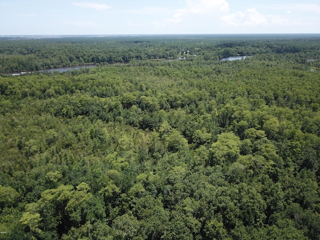 90ACRES Moragas Ln, Kiln, MS 39556