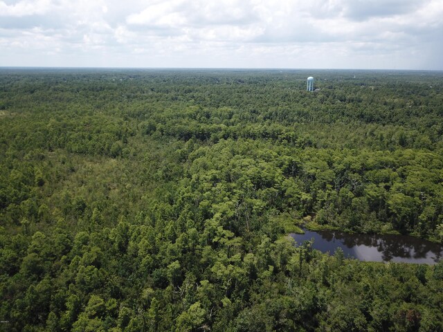 90ACRES Moragas Ln, Kiln, MS 39556