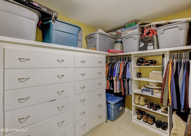 911 Newitt Vick Dr, Vicksburg, MS 39183 - spacious closet with carpet floors