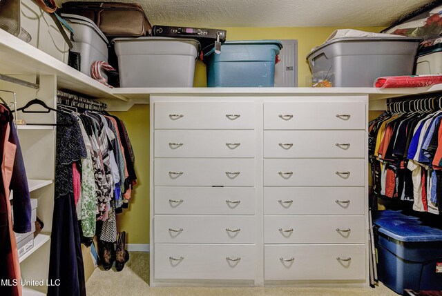 911 Newitt Vick Dr, Vicksburg, MS 39183 - spacious closet featuring carpet