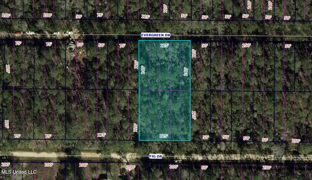 Fig Dr, Bay Saint Louis MS, 39520 land for sale