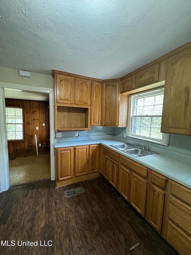 kitchen featuring a textured ceiling, a healthy amount of sunlight, sink, and dark wood-type flooring