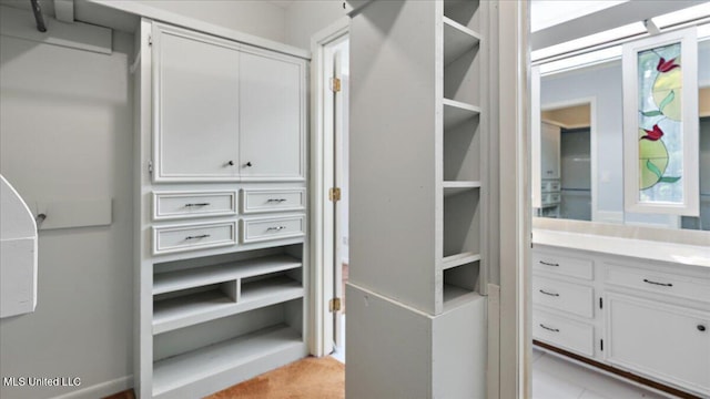 555 Rusk Dr, Brandon, MS 39047 - spacious closet with a sink