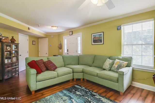 living room with ornamental molding, a healthy amount of sunlight, dark wood-type flooring, and ceiling fan