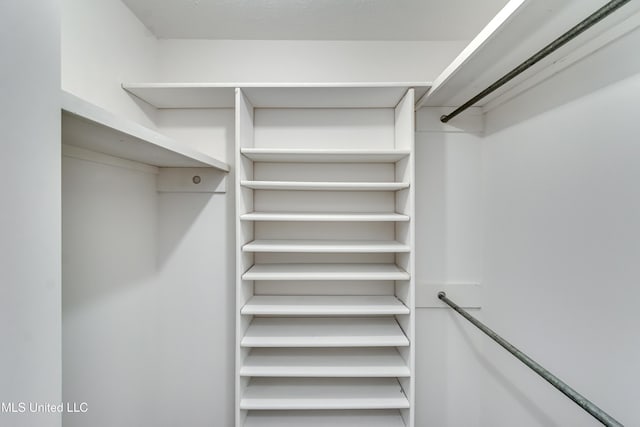 354 Lakeway Dr, Brandon, MS 39047 - view of walk in closet