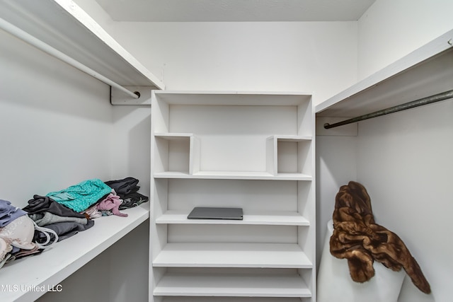 354 Lakeway Dr, Brandon, MS 39047 - view of walk in closet