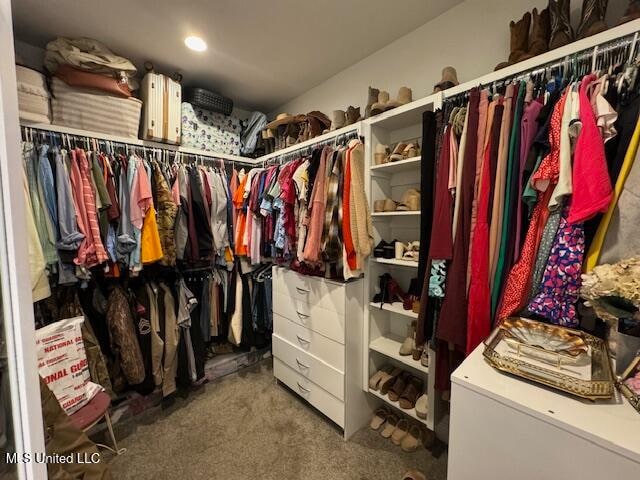 walk in closet with carpet