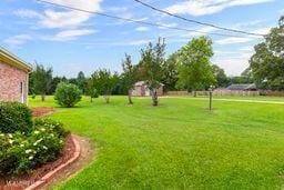 123 Munich Dr, Madison, MS 39110 - view of green lawn