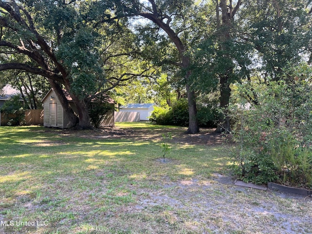 view of yard featuring a storage unit