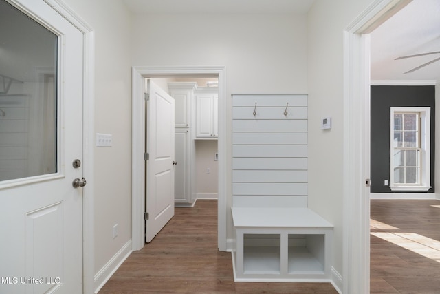 mudroom featuring dark wood-type flooring and ceiling fan