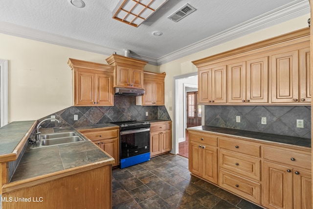 kitchen featuring electric range, under cabinet range hood, a sink, a peninsula, and decorative backsplash