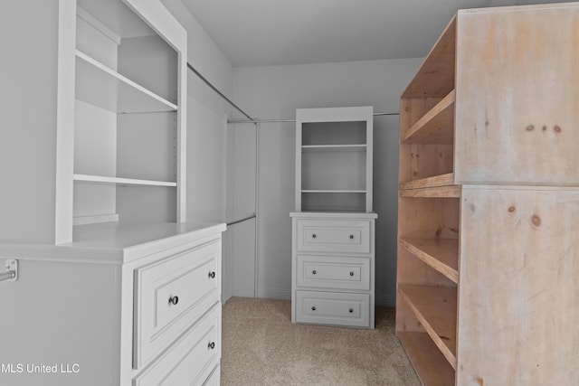 spacious closet featuring carpet