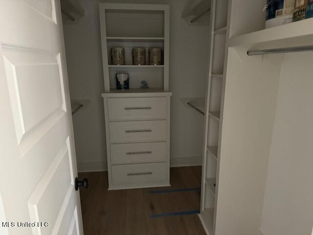 spacious closet featuring dark wood-type flooring