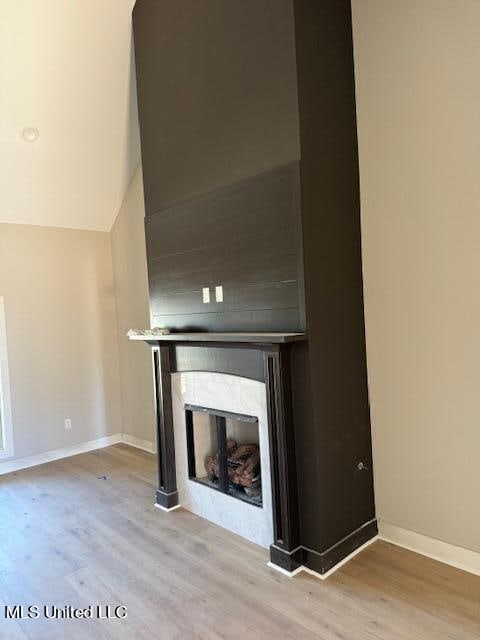 interior details with hardwood / wood-style floors and a premium fireplace