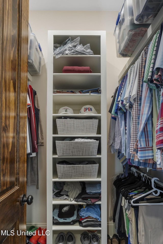 view of spacious closet