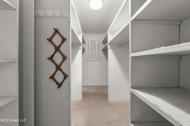 walk in closet with light colored carpet