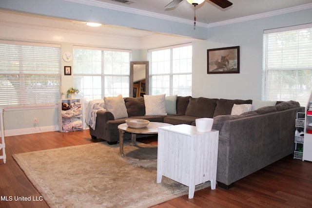 living room featuring ceiling fan, dark hardwood / wood-style floors, and ornamental molding